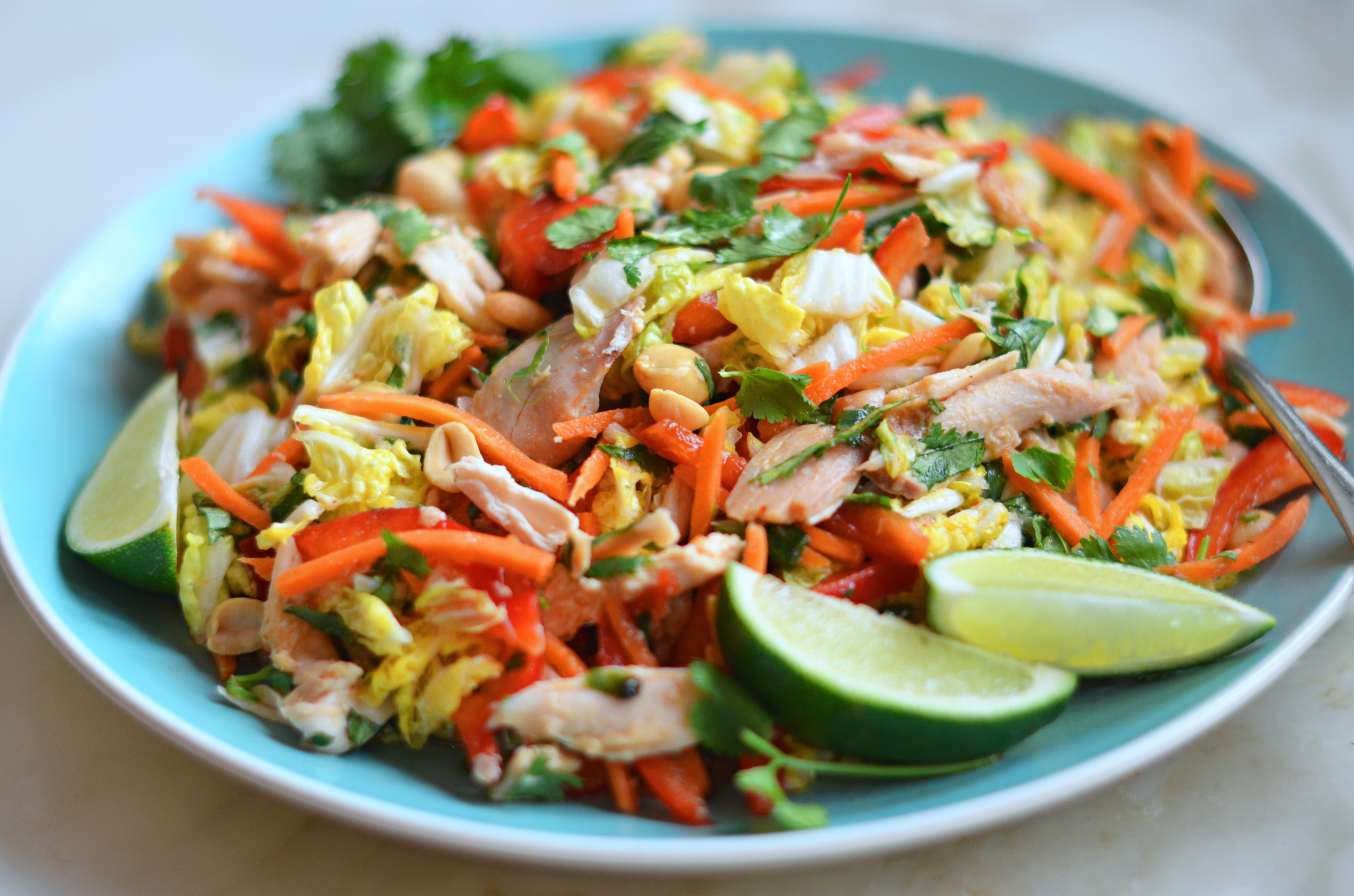 https://www.onceuponachef.com/images/2015/04/Shredded-Vietnamese-Chicken-Salad.jpg