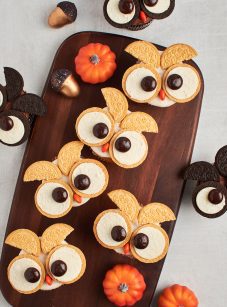 chocolate and vanilla owl cupcakes with mini pumpkins