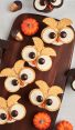 chocolate and vanilla owl cupcakes with mini pumpkins