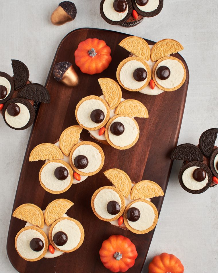 chocolate and vanilla owl cupcakes with mini pumpkins