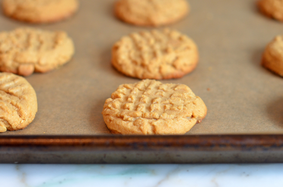 easy cookie recipes without butter