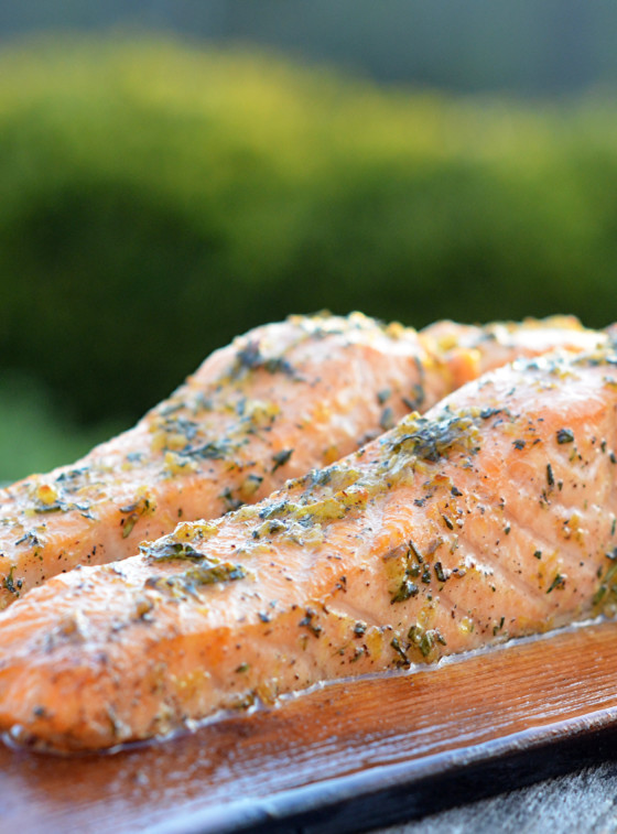 cedar planked salmon