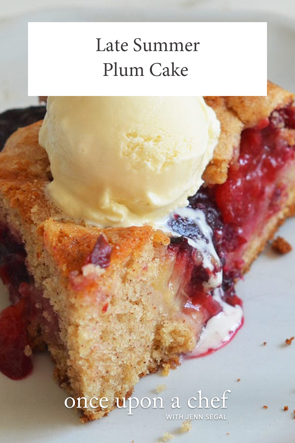 Late Summer Plum Cake - Once Upon a Chef